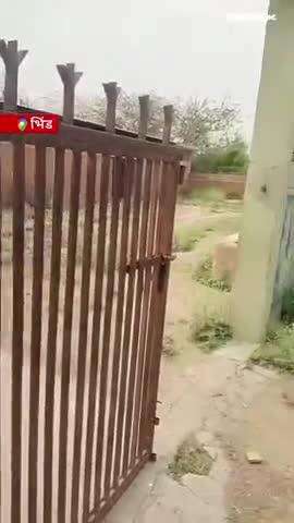 अजब मध्य प्रदेश के ग़जब कारनामे 
गौशाला चल रही है कागजों में और गाय चल रही है सड़कों पर