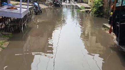 मधुबनी: लगभग आधे घंटे की बरसात में गदियानी की सड़कों पर हुआ जल-जमाव, लोग परेशान #jansamasya