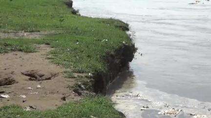 হোজাই: হাতীমৰা অঞ্চলত কঁপিলীৰ কালৰূপ, কঁপিলীৰ পানীয়ে খহাইছে নৈৰ পাৰ, বিপাঙত কেইবা শতাধিক ৰাইজ #jansamasya