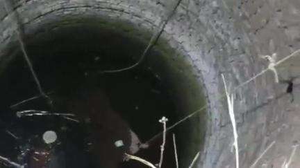 कटंगी: कटंगी थाना क्षेत्र के ग्राम बोपली में पैर फिसलने से कुएं में गिरी प्रौढ़ महिला की मौत
