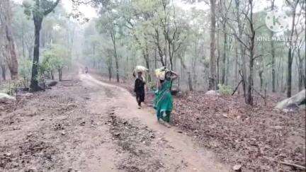 कोरबा: तेन्दुबोदार गांव में नहीं है बिजली, गांव के ग्रामीण है काफी परेशान, प्रशासन नहीं दे  रहा ध्यान #jansamasya