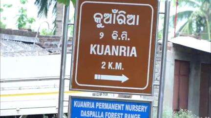 ନୟାଗଡ: ନୟାଗଡ ଜିଲ୍ଲା ଦଶପଲ୍ଲା କୁଆଁରୀଆ ଜଳ ଭଣ୍ଡାର ରକ୍ଷଣାବେକ୍ଷଣ ଅଭାବରୁ ଚାଷୀ ମାନେ ଅସୁବିଧାର ସମ୍ମୁଖୀନ #jansamasya