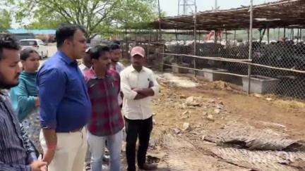 వేములవాడ: రాజన్న ఆలయంలో గో శాలను సందర్శించిన కలెక్టర్‌ సందీప్‌ కుమార్‌ ఝా, సంబంధిత అధికారులకు ఆదేశాలు జారీ