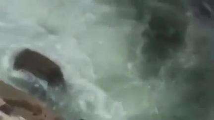 जबलपुर: दोस्तों के साथ भेड़ाघाट घूमने गए एक युवक ने पी शराब व नशे में पानी में लगाई छलांग, हुई मौत; घटना का वीडियो आया सामने