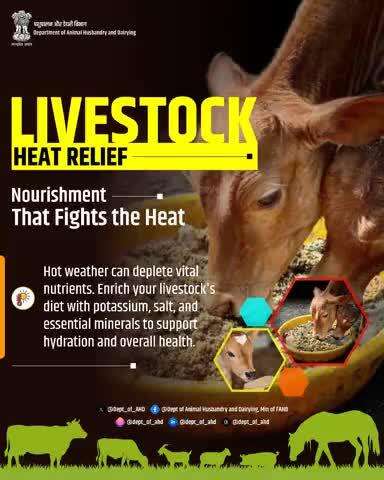 Livestock Heat Relief
 
Hot weather can drain vital nutrients from livestock. Enrich their diet with potassium, salt, and essential minerals to support hydration, health, and heat resilience.
