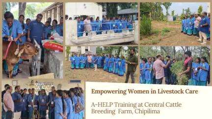 A one-day training-cum-exposure visit was conducted on 30th May 2025 at the Central Cattle Breeding Farm, Chiplima for 25 A-HELP women participants from Kalahandi, Odisha.