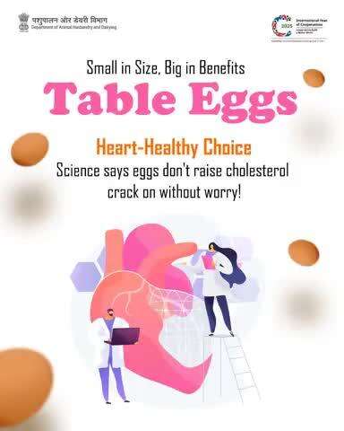 Table Eggs: Small in Size, Big on Benefits!
Worried about cholesterol?
 Don’t be! Science confirms that eggs are a heart-healthy choice — rich in nutrients, not in risks. So go ahead, crack one open for good health!