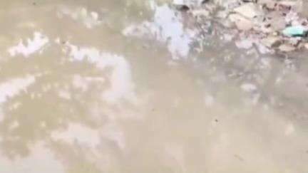 मुसळधार पावसामुळे शहरातील महावितरण कार्यालयात घुसले पाणी, तलावाचे स्वरूप पाय ठेवायला जागा नाही