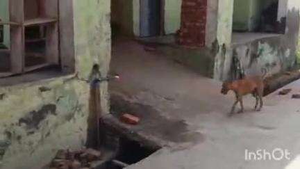 बिजनौर: हल्दौर के गांव ताहरपुर में दबंगों ने बीएसएफ के जवान के घर पर किया पथराव