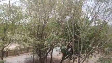 झांसी: झांसी में आज बारिश का अलर्ट, पूर्वी हवाओं से मौसम में हल्की ठंडक आई, तापमान 2.4 डिग्री गिरा