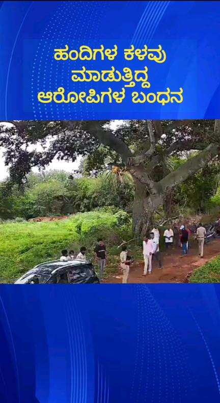 ದೊಡ್ಡಬಳ್ಳಾಪುರ: ಹಂದಿಗಳ ಕಳ್ಳತನ ಮಾಡುತ್ತಿದ್ದ ಕುಖ್ಯಾತ ಕಳ್ಳರ ಬಂಧಿಸಿದ ದೊಡ್ಡಬಳ್ಳಾಪುರ ಗ್ರಾಮಾಂತರ ಠಾಣೆ ಪೊಲೀಸರು