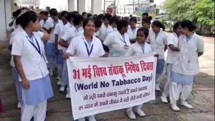 रायसेन: 'विश्व तंबाकू निषेध दिवस' पर रायसेन में निकाली गई जागरूकता रैली, सीएमएचओ डॉ. दिनेश खत्री ने हरी झंडी दिखाकर किया रवाना
