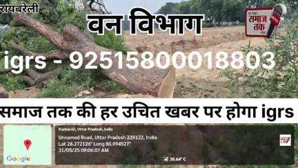 रायबरेली में दो हरे नीम के पेड़ काटे गए | समाज तक की पड़ताल | IGRS शिकायत दर्ज"