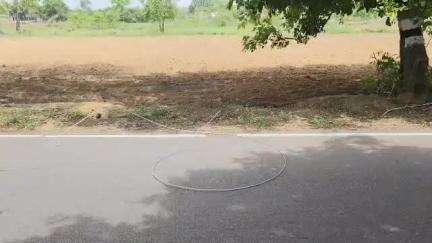 திருப்பத்தூர்: கட்டேரி பகுதியில் பிரதான சாலையின் அறுந்து விழுந்துள்ள மின்கம்பியால் பரபரப்பு