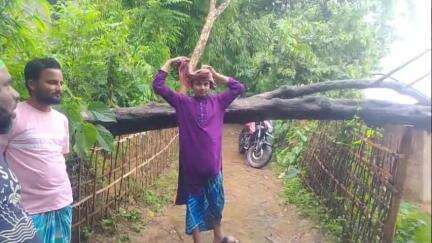 কৈলাশহর: কৈলাসহর মাগুরুলি গ্রাম পঞ্চায়েত এলাকায় বিদ্যুতের খুটি ভেঙ্গে রাস্তার মধ্যে পড়ে যায় #jansamasya