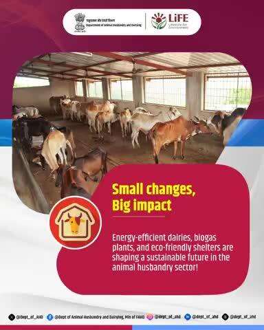 Sustainable Dairies, Greener Tomorrow

Energy-efficient dairies, biogas plants, and eco-friendly 
Shelters are transforming the animal husbandry 
sector into a model of sustainability.