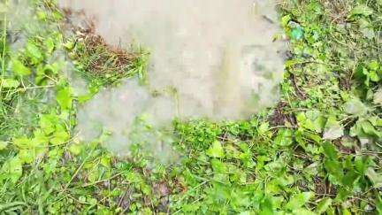 কুলতলি: বাড়িতে বাড়িতে এখনো পৌঁছায়নি পরিশ্রুত পানীয় জল, অযথা অপচয় হচ্ছে কুলতলির একাধিক এলাকায়