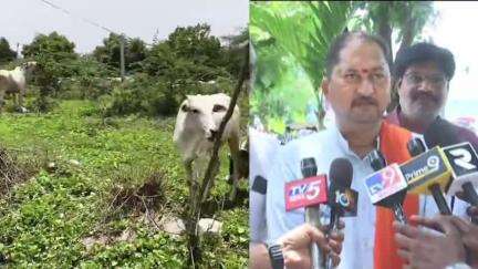 కరీంనగర్: వేములవాడ దేవస్థానం గోశాల లోని గోవులను రక్షించాలి: గోరక్ష విభాగ్ ప్రముఖు రాధాకృష్ణ