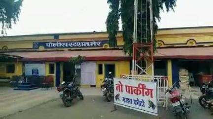 नेर: मारवाडी येथे ट्रकच्या धडकेत म्हैस जखमी, ट्रक चालकाविरुद्ध नेर पोलिसांत गुन्हा दाखल