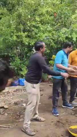 सातारा: कुरणेश्वर मंदिरात भाजपाच्या वतीने राबवण्यात आले श्रमदान अभियान