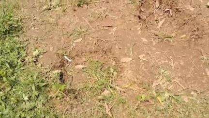 ফালাকাটা: কুঞ্জনগর এলাকায় হাতির হানায় এক মাসের শিশু-সহ একই পরিবারের মৃত 3, রাস্তা অবরোধ স্থানীয়দের