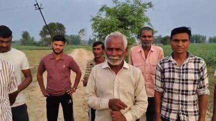 चांदपुर: शादीपुर मिलक में बिजली की तार की चपेट में आने से 7 नीलगाय की मौत, ग्रामीणों ने बिजली विभाग पर लगाया लापरवाही का आरोप
