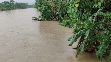ওদালগুৰি: কলাইগাঁৱত নোৱানদীৰ বানে স্তব্ধ কৰিছে স্বাভাৱিক জনজীৱন, সহস্ৰাধিক লোক বানৰ কৱলত, গুৰুত্ব নাই জনপ্ৰতিনিধিৰ #jansamasya