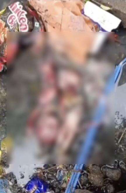 తిరుపతి జిల్లాలో కవల పసికందులపై కర్కశత్వం, మురుగు కాలువలో మృతదేహాలు లభ్యం