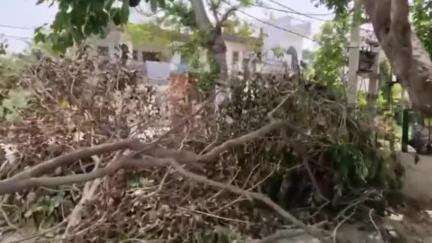 करनाल: बैंक कॉलोनी में पेड़ गिरने से आवागमन बाधित, जन समस्या को लेकर लोगों ने जताया रोष
