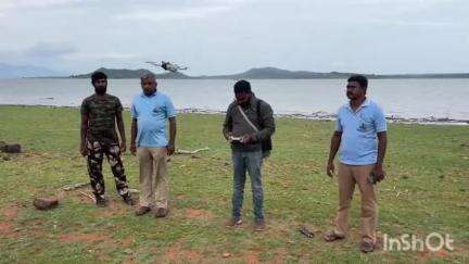 மேட்டுப்பாளையம்: சிறுமுகை வனச்சரகம் பவானிசாகர் நீர் தேக்க பகுதியில் தாயைப் பிரிந்த குட்டி யானையை மீண்டும் தாயுடன் சேர்க்க டிரோன் மூலம் தாயை தேடும் வனத்துறை