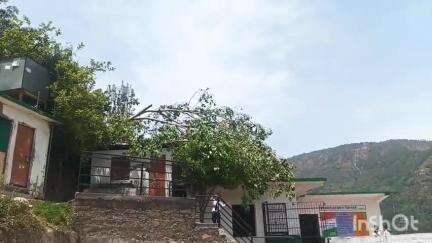 मंडी: टारना में तेज हवा से गिरा पीपल का पेड़, स्कूल के पास गिरने से 440 केवी ट्रांसफार्मर की तारें हुईं क्षतिग्रस्त