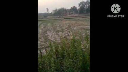 बस्ती: कप्तानगंज विकासखंड के देवरी ग्राम पंचायत में अवैध मिट्टी खनन का वीडियो आज सोशल मीडिया पर हो रहा वायरल