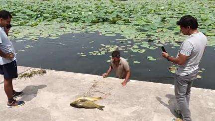 कैराना: कैराना नगर के प्राचीन देवी मंदिर तालाब में सैकड़ों मछलियों की हुई मौत, श्रद्धालुओं में फैला आक्रोश