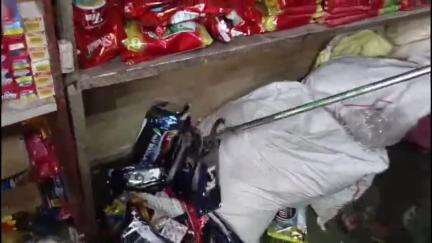 सागर नगर: गल्ला मंडी के पास किराने की दुकान में सामान के बीच नागिन बैठी, हड़कंप मचा