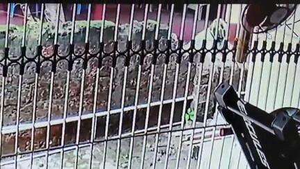 കണ്ണൂർ: തളാപ്പ് ഓലച്ചേരിക്കാവിനടുത്ത് യുവാവ് വീട്ടുമതിൽ തകർക്കുന്ന സി.സി.ടി.വി ദൃശ്യം പുറത്ത്