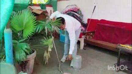 अनूपपुर: नगर के वार्ड क्रमांक 14 में सांप ने मचाई दहशत, छोटे लाल यादव ने किया कमाल