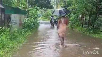 കോഴഞ്ചേരി: മഴക്കെടുതിയിൽ ജില്ലയിൽ 250 വീടുകൾ ഭാഗികമായി തകർന്നു