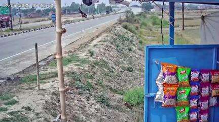 गोला: बड़हलगंज में अनियंत्रित कार की चपेट में आने से चार युवकों की हुई मौत, ठोकर लगने के बाद 20 फीट ऊपर गए दो बाइक सवार युवक