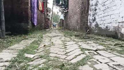 শ্রীরামপুর-উত্তরপাড়া: বৈদ্যবাটির ২০ নম্বর ওয়ার্ডে শুরু হল রাস্তা ও ড্রেন নির্মাণের কাজ #jansamasya