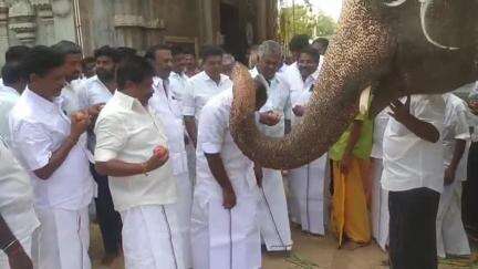 காளையார்கோவில்: வைகாசி விசாக திருவிழா தேரடி திடல் பகுதியில் கொடியேற்றத்துடன் தொடக்கம்