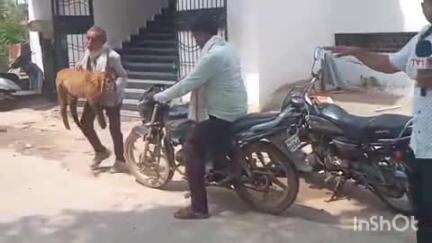 हुज़ूर: रीवा: मटन खाने के शौकीन सावधान! मटन मार्केट में बिक रहा ख़राब मटन, सेहत पर पड़ सकता है बुरा असर