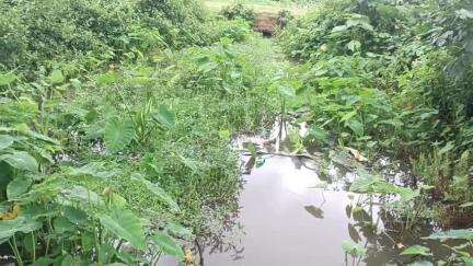 কৈলাশহর: কৈলাসহর লোকনাথ পাড়া 4 নং ওয়ার্ড এলাকা পরিদর্শনে মহকুমা প্রশাসন