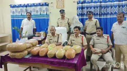 శ్రీకాకుళం: నరసన్నపేటలో అక్రమగంజాయి రవాణాచేస్తున్న మహిళను,మరొకరిని అరెస్టుచేసి 23kg 800gm గంజాయి స్వాధీనం చేసుకున్న ASPశ్రీనివాస్