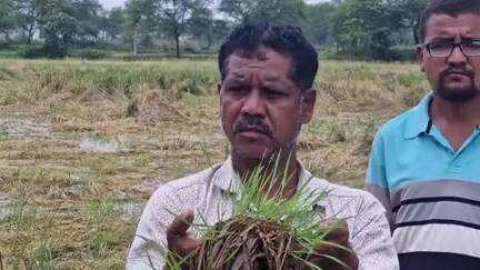 ନୂଆପଡା: ନୂଆପଡା ଜିଲ୍ଲାରେ ଧାନ ଫସଲ କ୍ଷୟକ୍ଷତି ଆକଳନ ପାଇଁ ଜିଲ୍ଲାପାଳଙ୍କ ନିର୍ଦେଶ