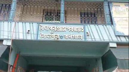 কালনা ২: বৈদ্যপুর পঞ্চায়েতের প্রধানের বিরুদ্ধে দুষ্প্রাপ্য মূল্যের গাছ কাটার অভিযোগ, ঘটনায় তৃণমূল বিজেপি তরজা