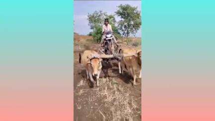 जाफराबाद: कोळेगाव येथे शेतात पावसामुळे फसलेली दुचाकी शेतकऱ्याने बैलगाडीत बांधून काढली बाहेर,व्हिडिओ माहोरा परिसरात व्हायरल