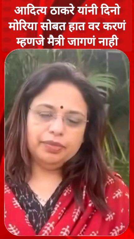 आदित्य ठाकरे यांनी दिनो मोरिया सोबत हात वर करणं म्हणजे मैत्री जागणं नाही - शितल म्हात्रे