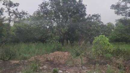 अमरोहा: अमरोहा में तेंदुए की दहशत बरकरार, अतरासी रोड पर बाइक सवार को दिखाई दिया तेंदुआ, दहशत का माहौल