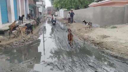 सहसवान: दहगवाँ ब्लॉक क्षेत्र के वाजिदपुर में टूटी सड़क और कीचड़ से लोग परेशान, लोक निर्माण विभाग हुआ बेखबर #jansamasya