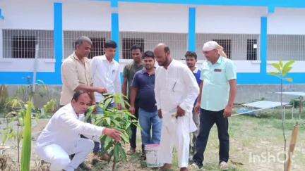 पुरैनी: मधेपुरा विश्वविद्यालय के निर्देश पर कमला राणा साइंस कॉलेज, प्रशांत नगर में पौधारोपण किया गया